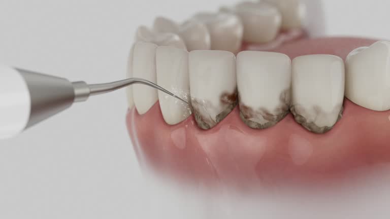 Reliable Dental contractor in Neosho, MO by Dentist Open Now